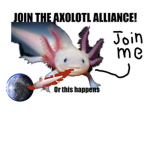 The AXOLOTL alliance