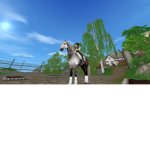 Star stable club