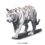 tigerwuhj