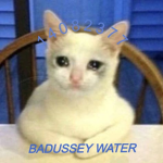 badusseywater
