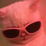$CATS