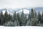Fir Mountain Equestrian Centre