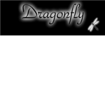 Dragonfly Fort co.