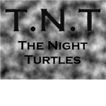 The Night Turtles [T.N.T]