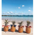 <pineapples!>