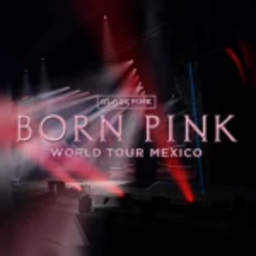 Born Pink World Tour