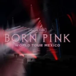 Born Pink World Tour icon
