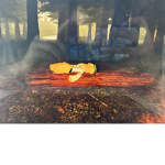 Roblox happyfun9119 aesthetic