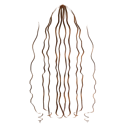 𝓖 Caramel Half Up Half Down Curly Extensions Roblox item