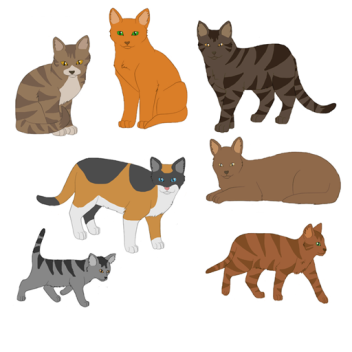 Warrior Cats ^ ThunderClan Rp [Beta]