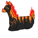 The Blaze llama fan club