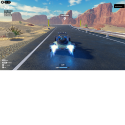 Race