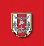 Unіted States Army 1960s, Vietnam Group Thumbnail