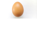eggz group
