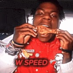 W SPEED OBBY