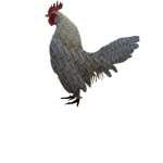 Arkaden