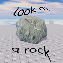 look at a rock