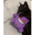 JUST CAUGHT