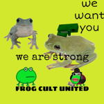 frog cult united