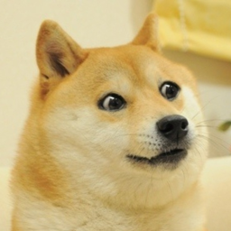 the epic supper doge's GAME LOBBY