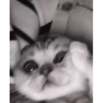 4bcd3