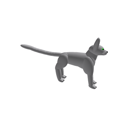 Kitten