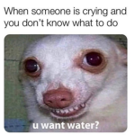 Izzy_Flufff yamileth