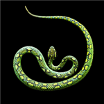 Serpintine