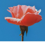 Aesthetic ;)
