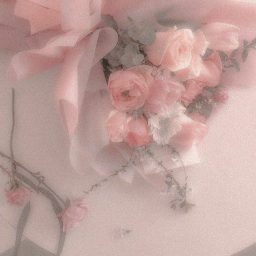 𝓕𝓪𝓼𝓽 ~