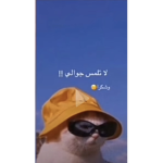 حياكم قروبي كل يوم