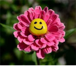 <3 flowers group <3
