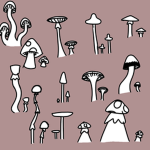 MUSHROOOOOOMMMSSS!!