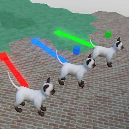pawrace