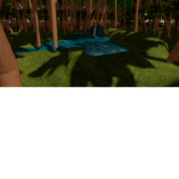 Palm Tree Lake