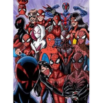 Spider-Verse Group