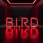B.IR.D