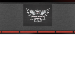Black Eagle Karate (Large Dojo)