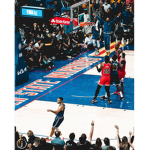 H B L ( Hoopz Basketball League )