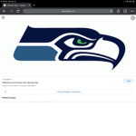Seahawks Team