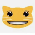 calamar2