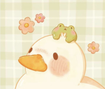 The Ducks : D