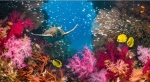 Underwater Hang out!