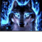 Crazy wild awesome amazing savage wolves