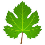 The Leafmen