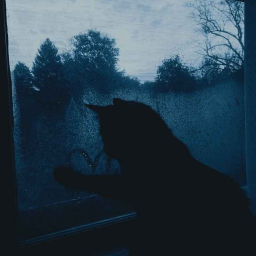 Memories in the rain