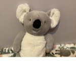 I’m a koala…..