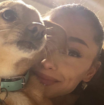Arianators ⋆