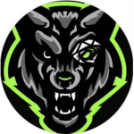 Hybrid Gaming channel Clan