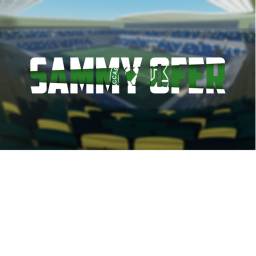 Sammy Ofer Stadium | IRF